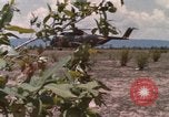 Image of 20th Helicopter Squadron paratroopers Vietnam, 1962, second 59 stock footage video 65675075617