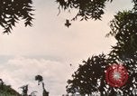 Image of 20th Helicopter Squadron paratroopers Vietnam, 1962, second 5 stock footage video 65675075619