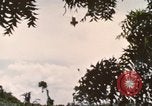 Image of 20th Helicopter Squadron paratroopers Vietnam, 1962, second 6 stock footage video 65675075619