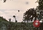 Image of 20th Helicopter Squadron paratroopers Vietnam, 1962, second 20 stock footage video 65675075619