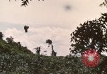 Image of 20th Helicopter Squadron paratroopers Vietnam, 1962, second 25 stock footage video 65675075619