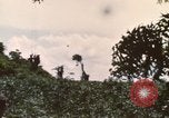 Image of 20th Helicopter Squadron paratroopers Vietnam, 1962, second 31 stock footage video 65675075619