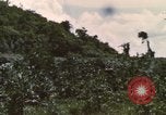 Image of 20th Helicopter Squadron paratroopers Vietnam, 1962, second 42 stock footage video 65675075619