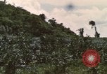 Image of 20th Helicopter Squadron paratroopers Vietnam, 1962, second 45 stock footage video 65675075619