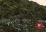 Image of 20th Helicopter Squadron paratroopers Vietnam, 1962, second 57 stock footage video 65675075619