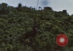 Image of 20th Helicopter Squadron paratroopers Vietnam, 1962, second 60 stock footage video 65675075619