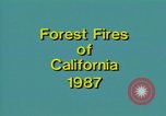 Image of Flames rising above tall trees California United States USA, 1987, second 5 stock footage video 65675075621