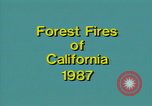 Image of Flames rising above tall trees California United States USA, 1987, second 6 stock footage video 65675075621