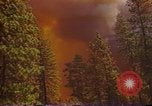 Image of Flames rising above tall trees California United States USA, 1987, second 9 stock footage video 65675075621