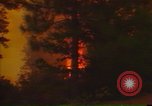 Image of Flames rising above tall trees California United States USA, 1987, second 15 stock footage video 65675075621