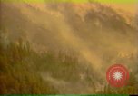 Image of Flames rising above tall trees California United States USA, 1987, second 23 stock footage video 65675075621