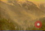 Image of Flames rising above tall trees California United States USA, 1987, second 27 stock footage video 65675075621