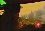 Image of Flames rising above tall trees California United States USA, 1987, second 34 stock footage video 65675075621