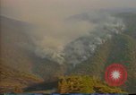 Image of Flames rising above tall trees California United States USA, 1987, second 39 stock footage video 65675075621