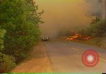 Image of Flames rising above tall trees California United States USA, 1987, second 40 stock footage video 65675075621