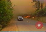 Image of Flames rising above tall trees California United States USA, 1987, second 42 stock footage video 65675075621