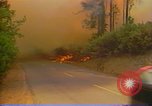Image of Flames rising above tall trees California United States USA, 1987, second 44 stock footage video 65675075621