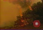 Image of Flames rising above tall trees California United States USA, 1987, second 46 stock footage video 65675075621