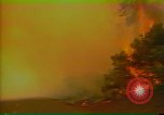 Image of Flames rising above tall trees California United States USA, 1987, second 47 stock footage video 65675075621