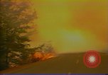 Image of Flames rising above tall trees California United States USA, 1987, second 48 stock footage video 65675075621