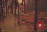 Image of Flames rising above tall trees California United States USA, 1987, second 57 stock footage video 65675075621