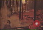 Image of Flames rising above tall trees California United States USA, 1987, second 58 stock footage video 65675075621