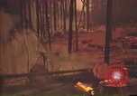 Image of Flames rising above tall trees California United States USA, 1987, second 59 stock footage video 65675075621