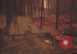 Image of Flames rising above tall trees California United States USA, 1987, second 61 stock footage video 65675075621