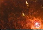 Image of firefighters California United States USA, 1987, second 51 stock footage video 65675075624