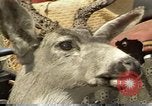 Image of Refugees from forest fire California United States USA, 1987, second 1 stock footage video 65675075635