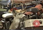Image of Refugees from forest fire California United States USA, 1987, second 5 stock footage video 65675075635