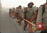 Immagine di Incendio in Stanislaus National Forest California United States USA, 1987, secondo 49 filmato di repertorio 65675075636