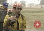 Immagine di Incendio in Stanislaus National Forest California United States USA, 1987, secondo 56 filmato di repertorio 65675075636