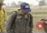 Immagine di Incendio in Stanislaus National Forest California United States USA, 1987, secondo 57 filmato di repertorio 65675075636