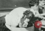 Image of African American teacher New Orleans Louisiana USA, 1937, second 21 stock footage video 65675075659