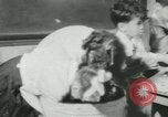 Image of African American teacher New Orleans Louisiana USA, 1937, second 22 stock footage video 65675075659