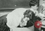 Image of African American teacher New Orleans Louisiana USA, 1937, second 24 stock footage video 65675075659