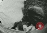 Image of African American teacher New Orleans Louisiana USA, 1937, second 52 stock footage video 65675075659