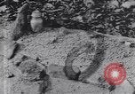 Image of grave-markers Atlanta Georgia USA, 1939, second 7 stock footage video 65675075668