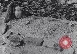 Image of grave-markers Atlanta Georgia USA, 1939, second 8 stock footage video 65675075668