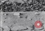 Image of grave-markers Atlanta Georgia USA, 1939, second 17 stock footage video 65675075668