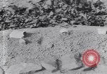 Image of grave-markers Atlanta Georgia USA, 1939, second 19 stock footage video 65675075668