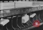 Image of African American office workers creating and processing punch cards Atlanta Georgia USA, 1939, second 25 stock footage video 65675075670