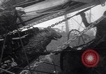 Image of United States Antarctic Service Expedition Boston Massachusetts USA, 1939, second 8 stock footage video 65675075699