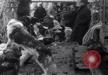 Image of United States Antarctic Service Expedition Boston Massachusetts USA, 1939, second 11 stock footage video 65675075699
