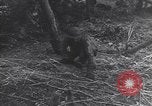 Image of Mental preparation and training of American soldiers World War 2 European Theater, 1944, second 49 stock footage video 65675075786