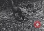 Image of Mental preparation and training of American soldiers World War 2 European Theater, 1944, second 56 stock footage video 65675075786