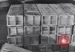 Image of Lieutenant General Brehon Burke Somervell Virginia United States USA, 1944, second 60 stock footage video 65675075789