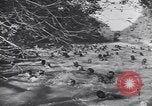 Image of Army Service Forces United States USA, 1944, second 10 stock footage video 65675075790