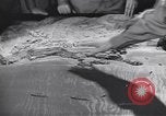 Image of Army Service Forces invasion preparation United States USA, 1944, second 29 stock footage video 65675075791